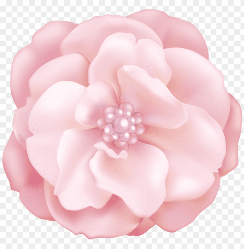 soft pink flower decorative