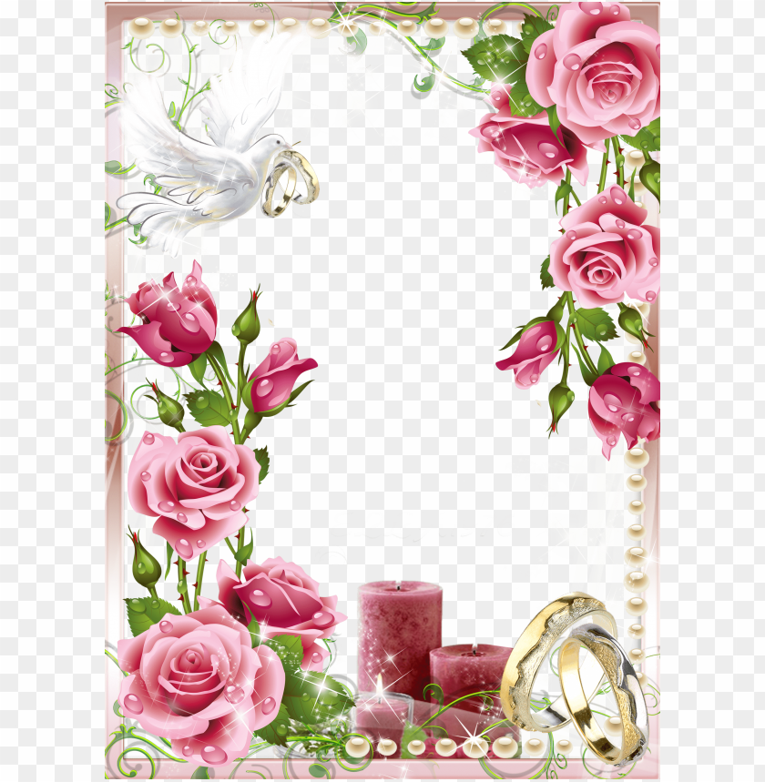 soft pink wedding photo png frame background best stock photos | TOPpng