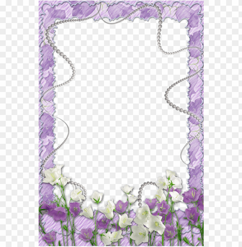 soft purple transparent frame with flowers background best stock photos - Image ID 57811