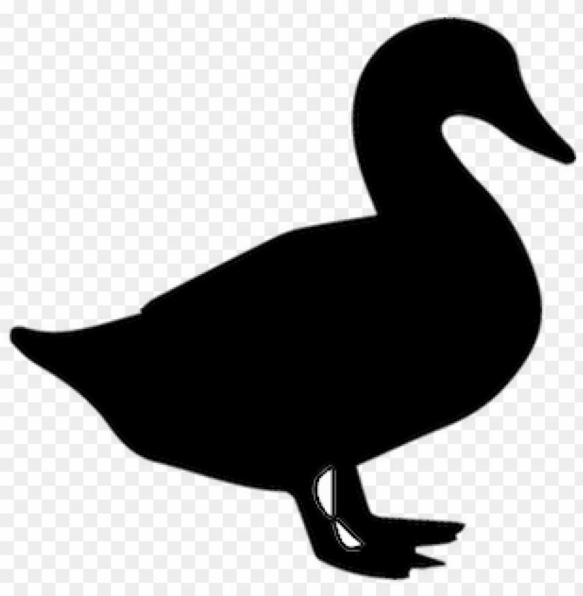 southern maryland duck producers - duck layer vector silhouette PNG image with transparent background@toppng.com