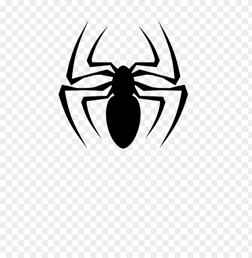 
spider
, 
order araneae
, 
air-breathing
, 
arthropods
, 
insects
, 
animal
