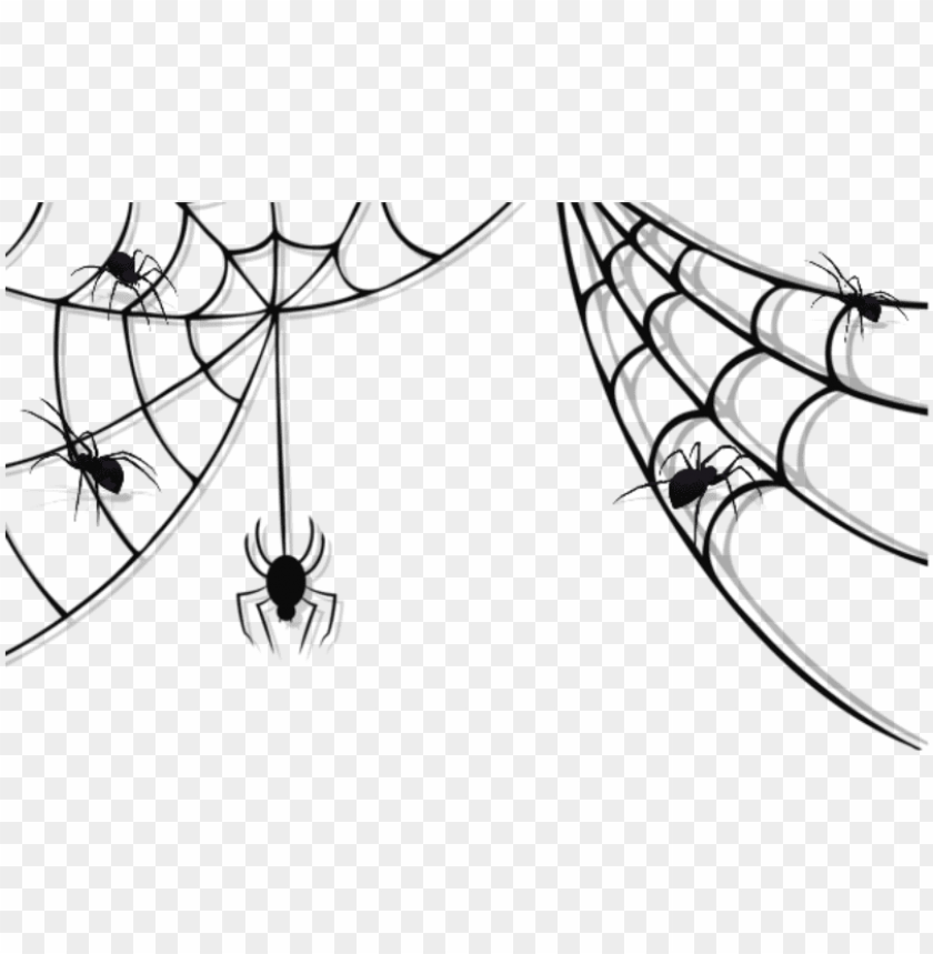 spider web, website, texture, internet, background, technology, frame