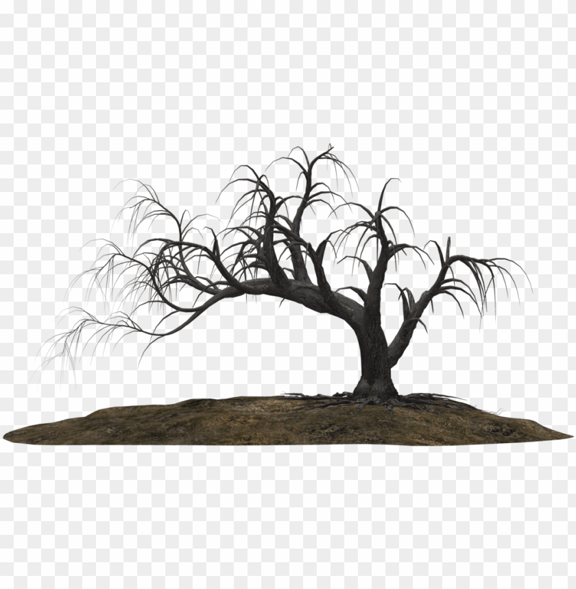 Spooky Trees Png Png Royalty Free - Creepy Trees PNG Transparent With Clear Background ID 185772