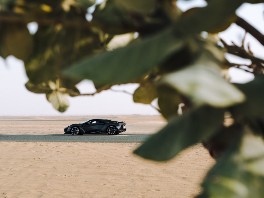 sports car, car, sand, branches, leaves