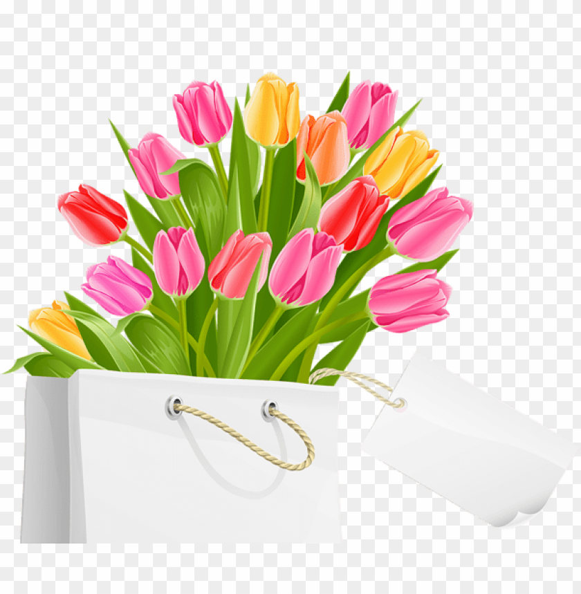 flowers, flowers png, spring png, flower png, tulips