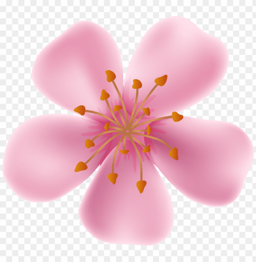 PNG image of spring blooming flower with a clear background - Image ID 47273