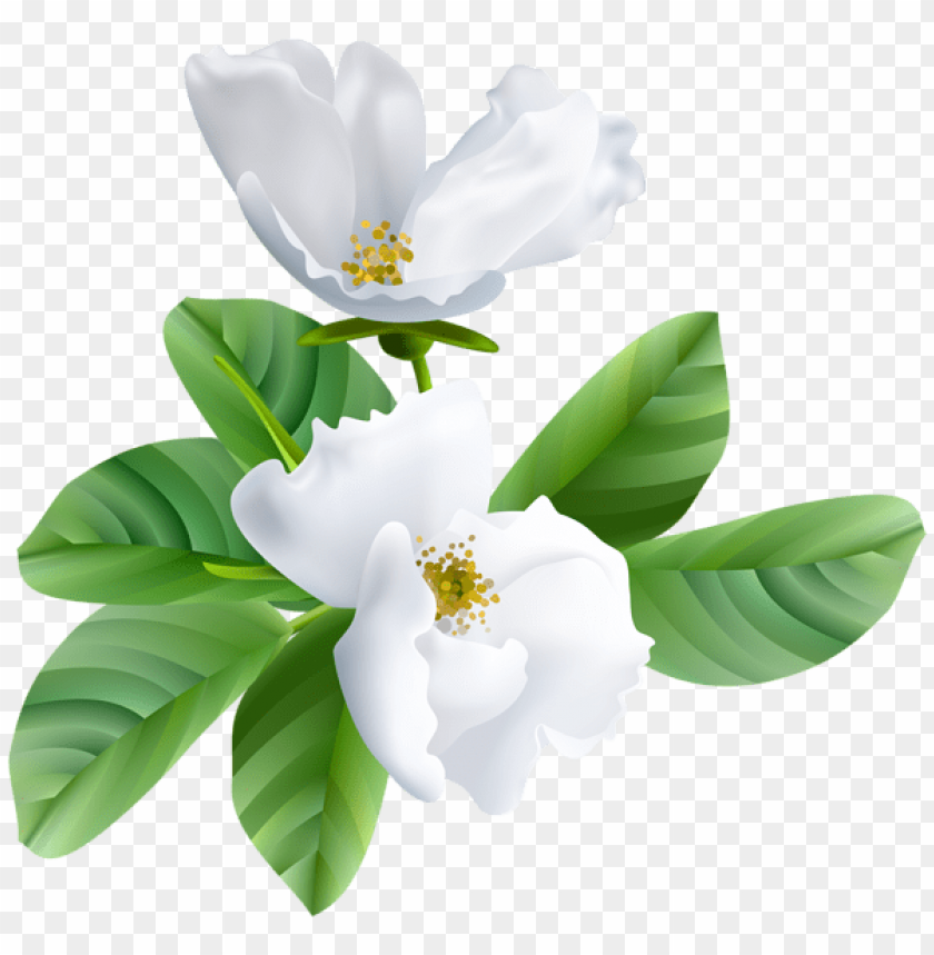 PNG image of spring blooming transparent with a clear background - Image ID 47237