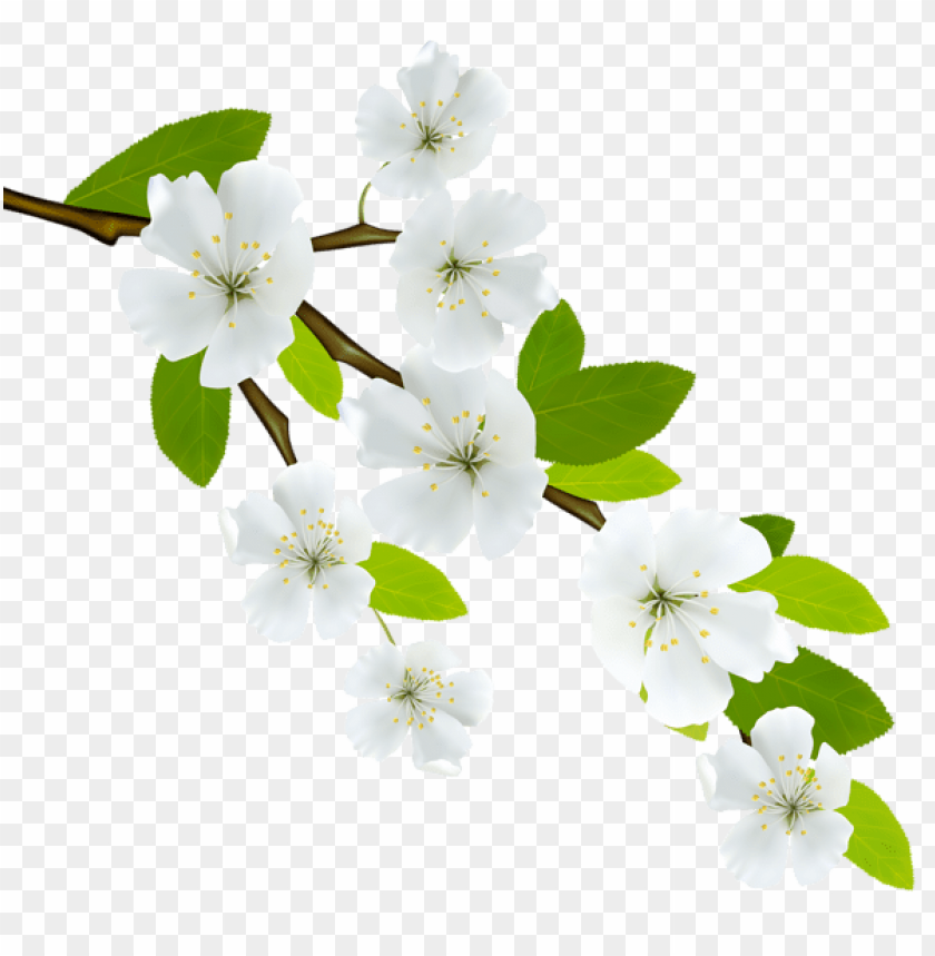PNG image of spring branch with a clear background - Image ID 47146