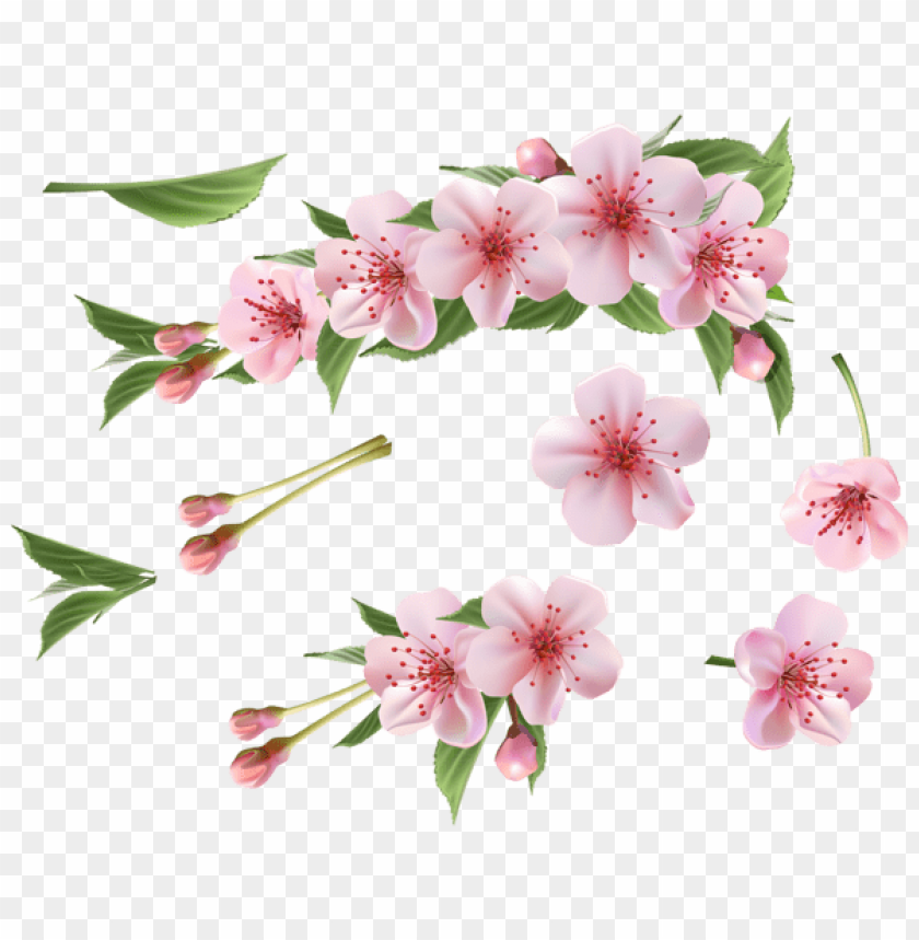 PNG image of spring branch pink elements with a clear background - Image ID 47198