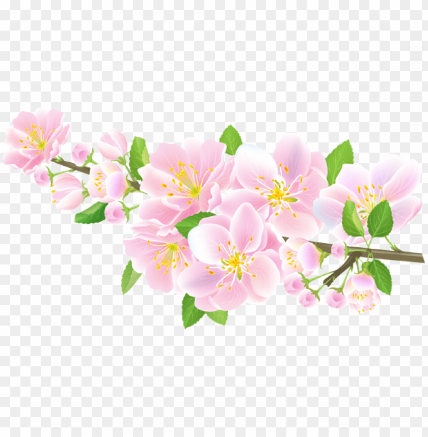 PNG image of spring branch pink transparent with a clear background - Image ID 47210