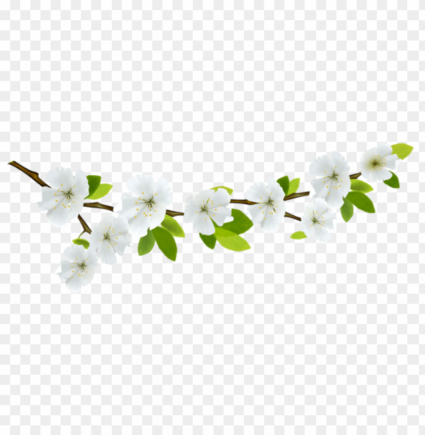 PNG image of spring branch white with a clear background - Image ID 47224