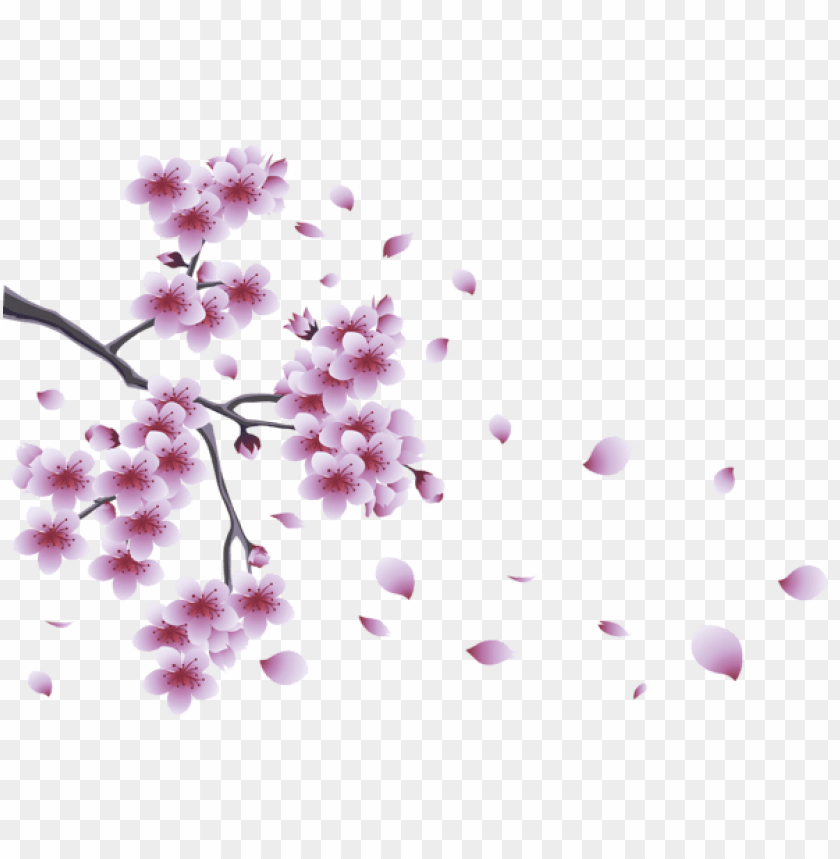PNG image of spring branch with tree flowers with a clear background - Image ID 47219