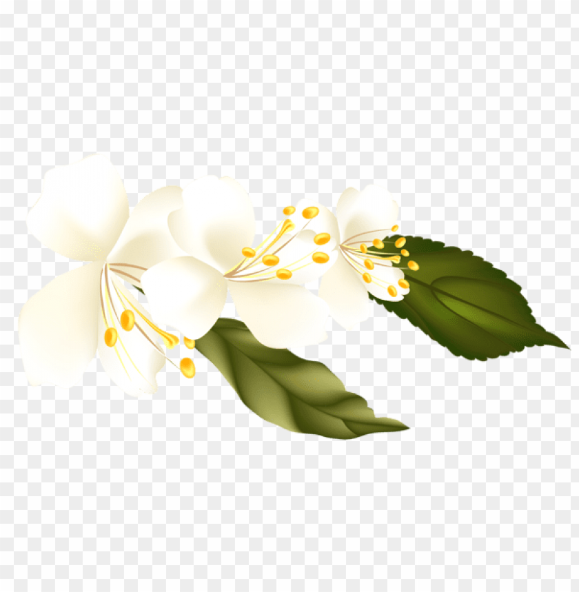 PNG image of spring branchelement picture with a clear background - Image ID 47223