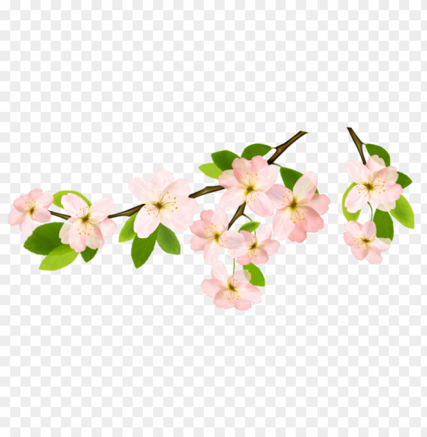 PNG image of spring branchpicture with a clear background - Image ID 47164