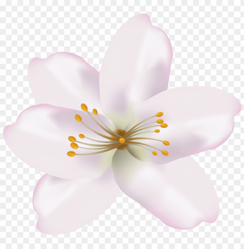 PNG image of spring flower with a clear background - Image ID 47261