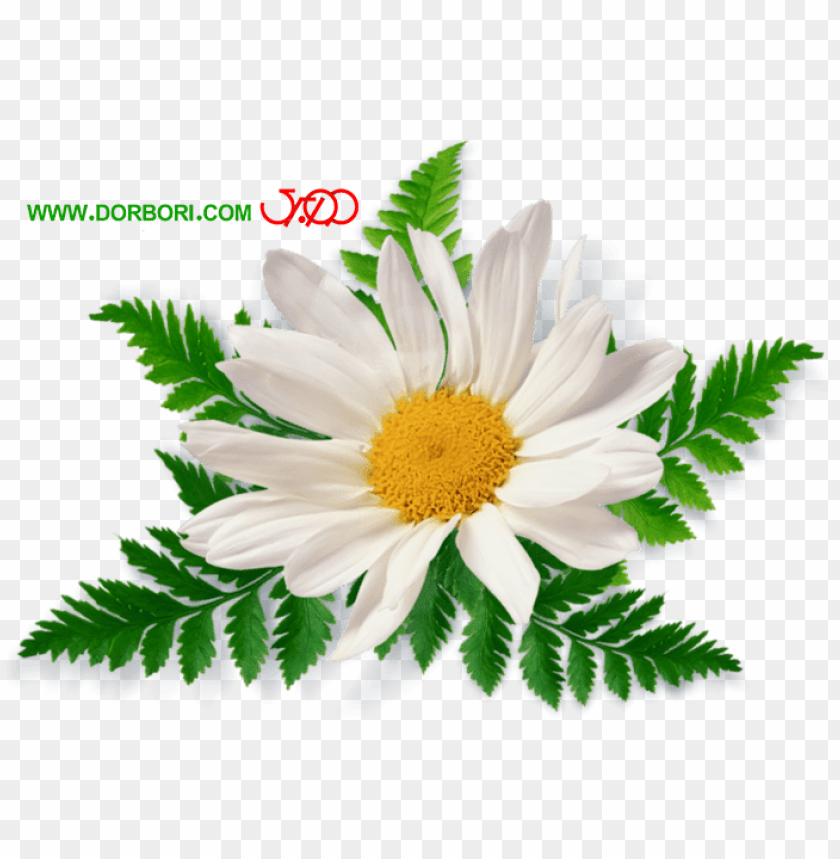 spring flower bouquet png, spring,bouquet,png,flower,flowerbouquet,springflower