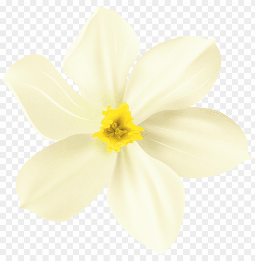 PNG image of spring flower decorative transparent with a clear background - Image ID 44115