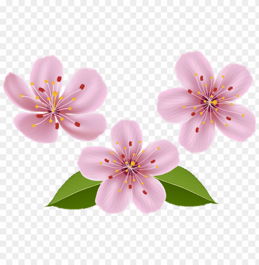 PNG image of spring flowers with a clear background - Image ID 47284