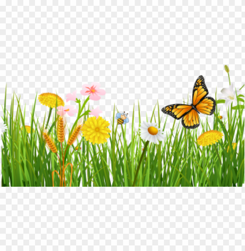 Spring Grass With Butterflies Beautiful Background Grama Primavera Png Image With Transparent Background Toppng - grass roblox background