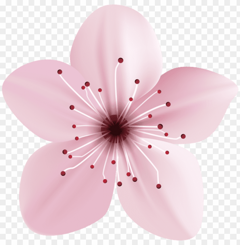 PNG image of spring pink flower with a clear background - Image ID 47270