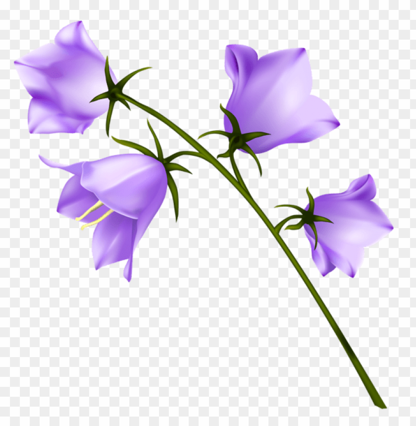 flowers png, spring png, flower png, purple flower
