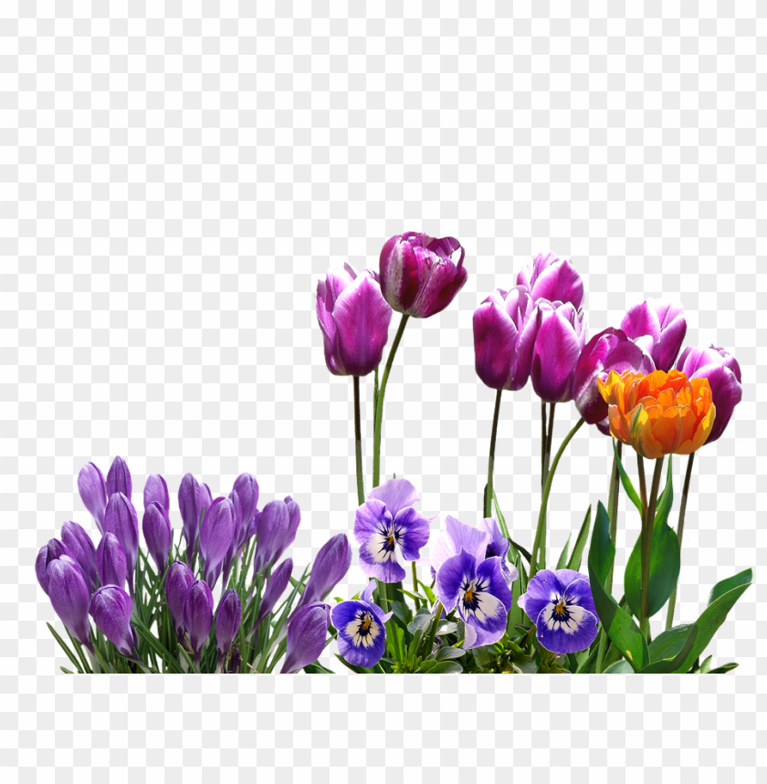 Spring Season Png PNG Image With Transparent Background