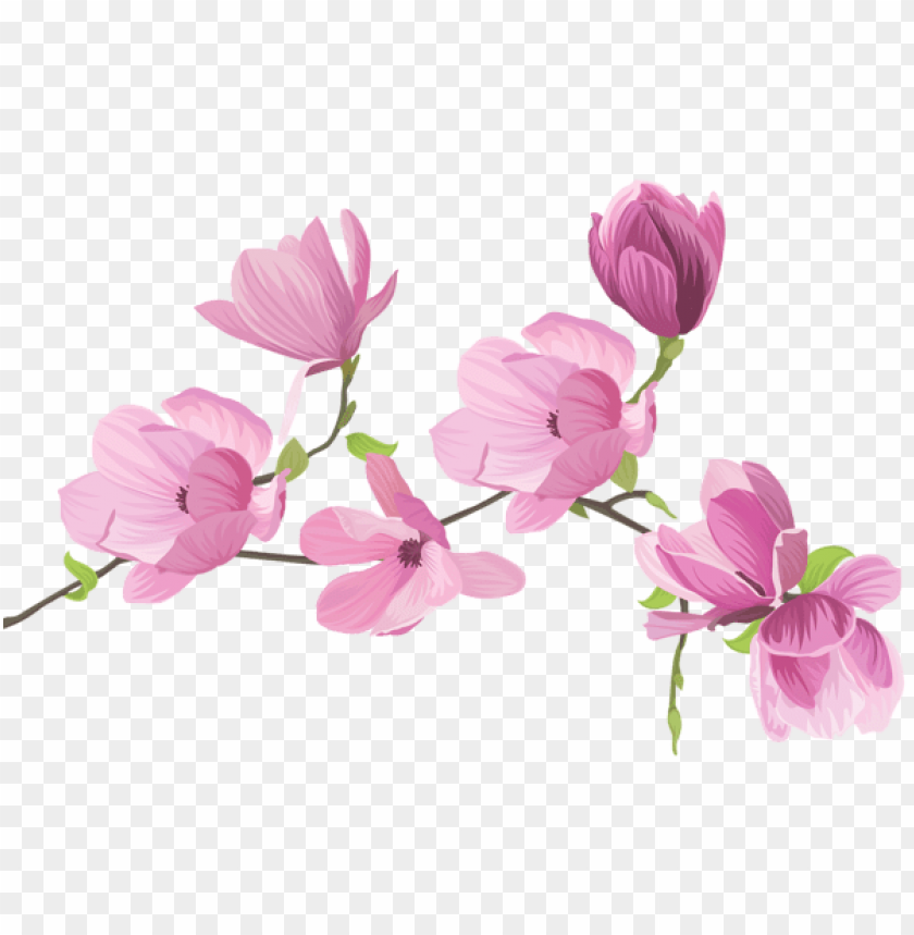 PNG image of spring tree flowers with a clear background - Image ID 47204