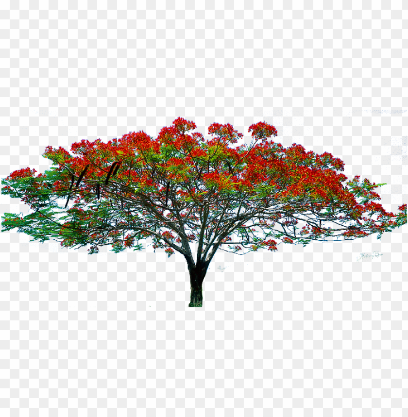 spring tree png PNG transparent with Clear Background ID 124762