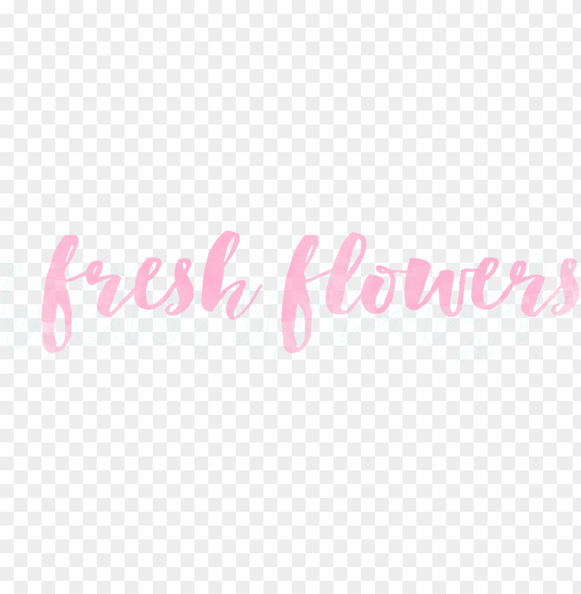 free PNG spring watercolor overlays fresh flowers pink - world's best brother shower curtai PNG image with transparent background PNG images transparent