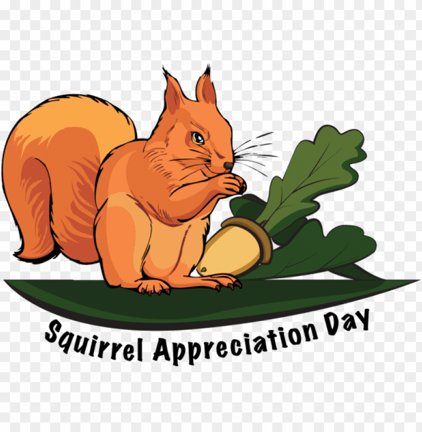 Squirrel Appreciation Day 2017 PNG Image With Transparent Background