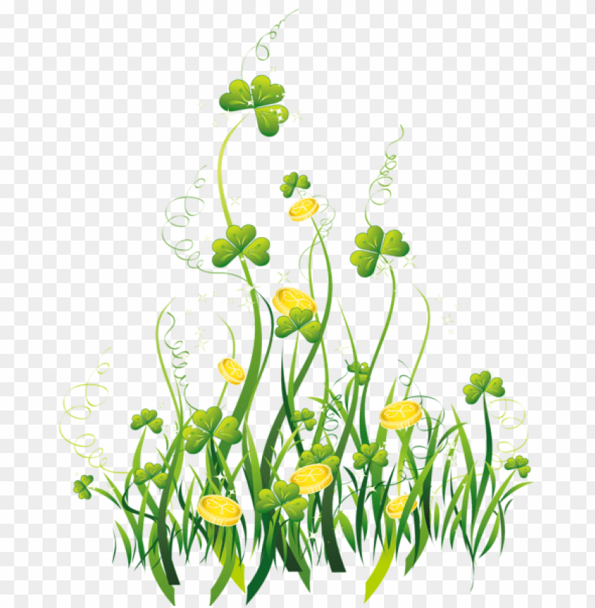 Download st patrick shamrocks with gold coins decorpicture png images background@toppng.com
