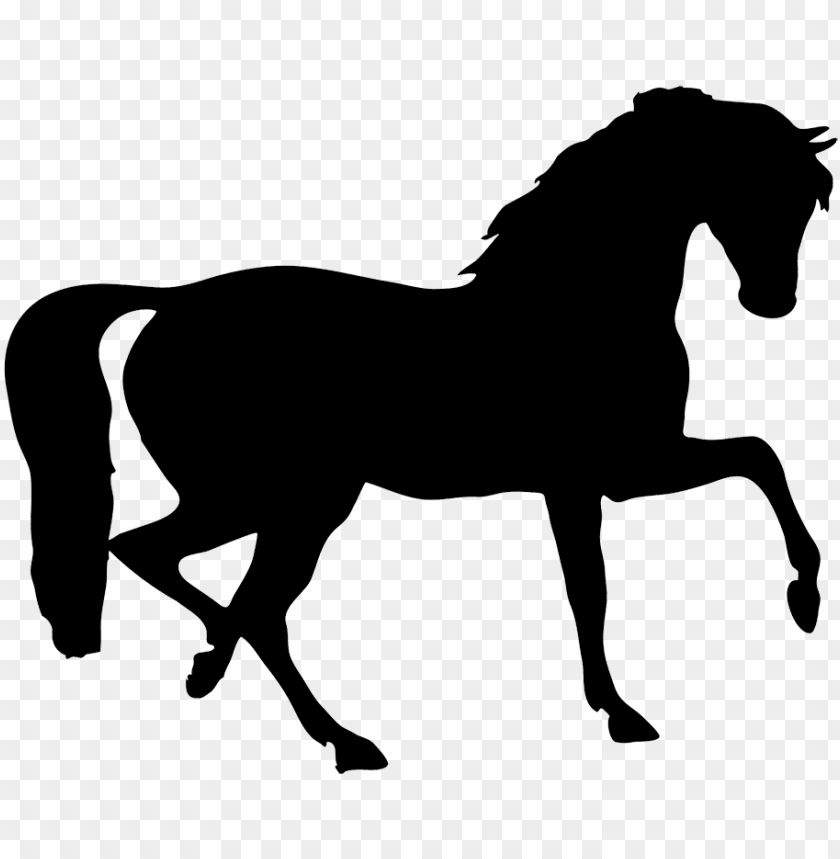 stallion clipart transparent horse silhouette PNG transparent with Clear Background ID 206647
