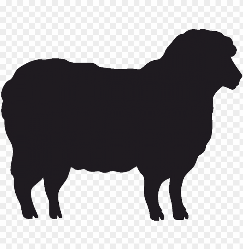 Standing Sheep Black Silhouette Shape PNG Image With Transparent Background@toppng.com