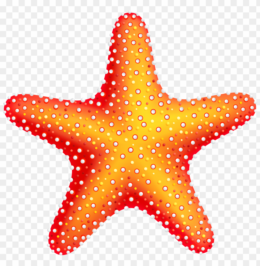 free PNG Download starfish clipart png photo   PNG images transparent