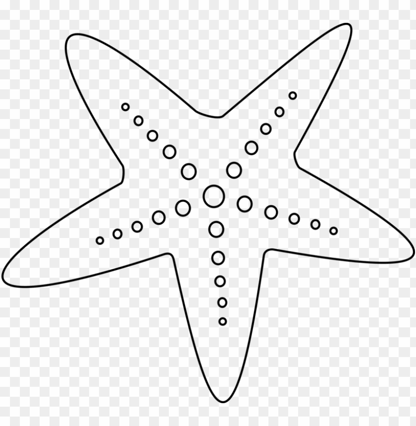 starfish color a sea star echinoderm star fish clipart black and white PNG transparent with Clear Background ID 177324