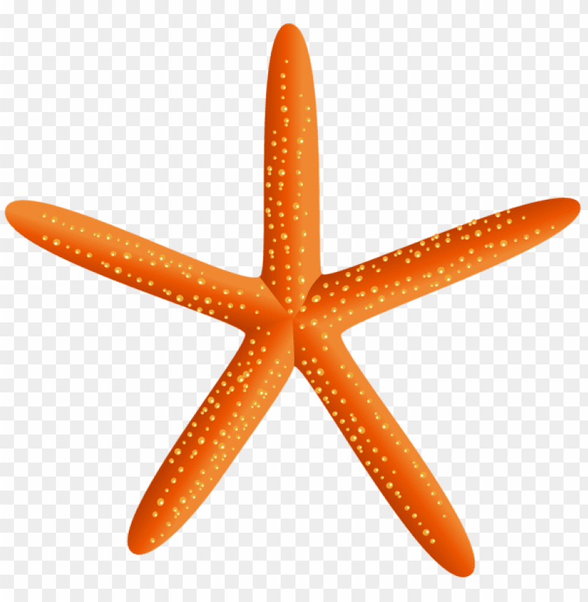 starfish transparent clipart png photo - 56364