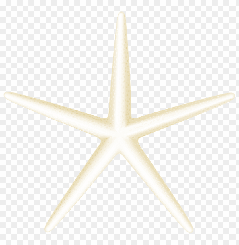 Download Starfish Transparent Clipart Png Photo Toppng - roblox on twitter summer beach free transparent png download