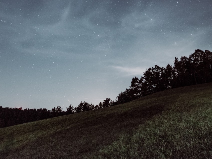 starry sky, field, grass, stars, horizon