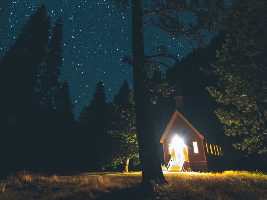 starry sky, house, forest, night