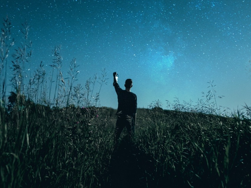 starry sky, silhouette, night, grass, field