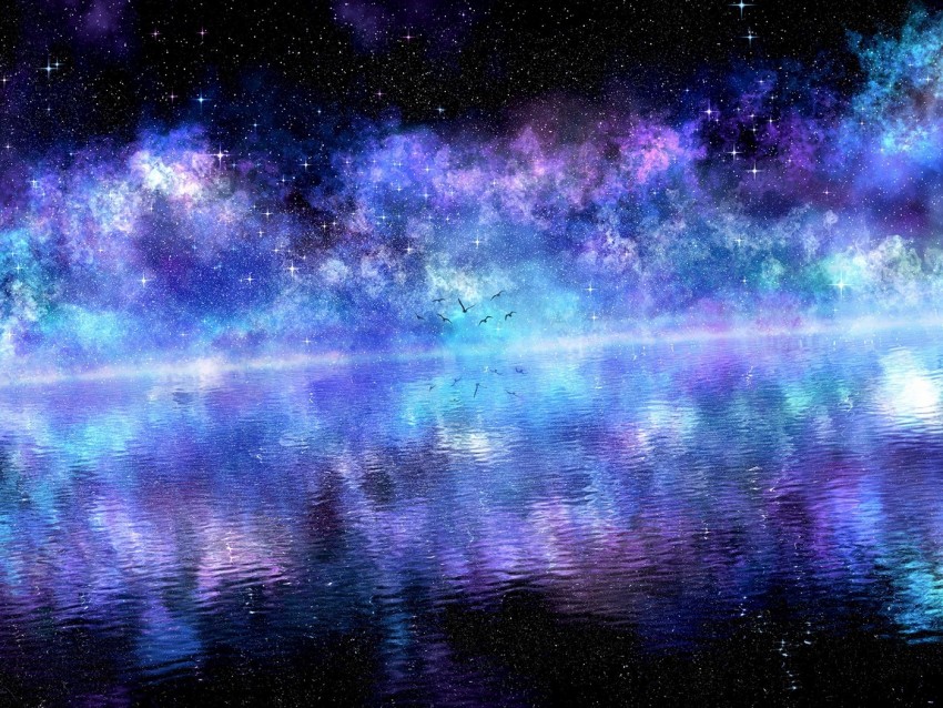 starry sky, water, birds, surface, reflection, purple, clouds