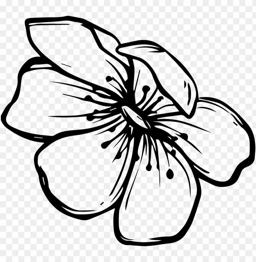 Sticker By Lucia Gloria Zivago Png Doodle Flower Black And White Png Image With Transparent Background Toppng