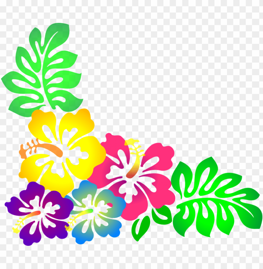 Stock Pin By Irma On Moana Pinterest Clip Clipart Hawaiian Flowers Png Image With Transparent Background Toppng