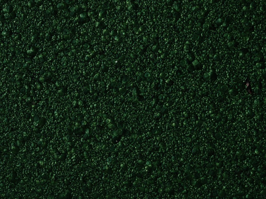 stones, green, texture, surface