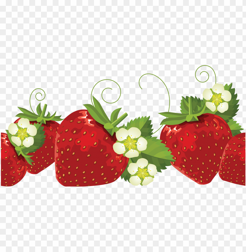 
strawberry
, 
genus fragaria
, 
strawberries
, 
fruit
, 
botanical berry
