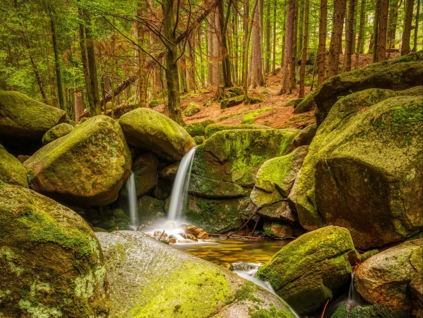 stream, stones, moss, forest, nature