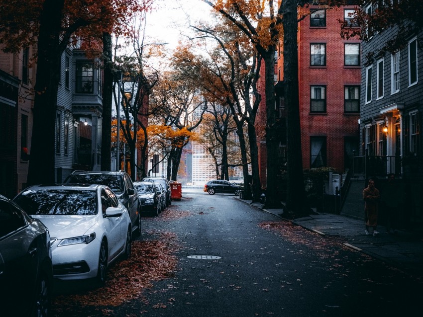 street, city, autumn, cars, trees