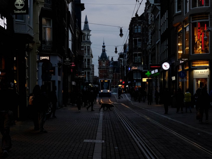 street, city, twilight, evening, movement, amsterdam, netherlands