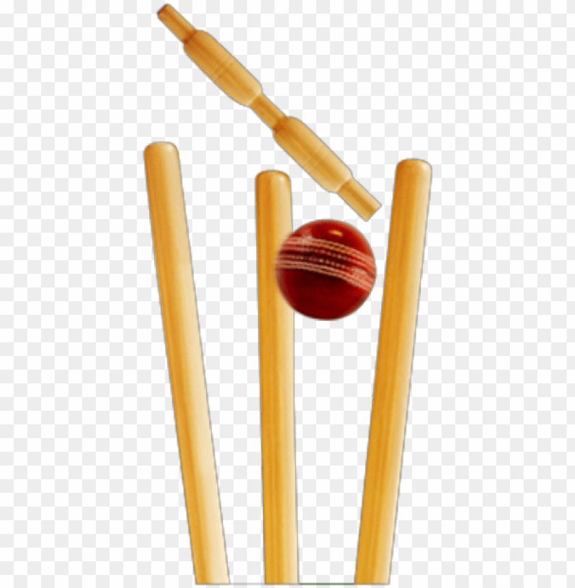 stumps - cricket ball and stumps PNG image with transparent background@toppng.com
