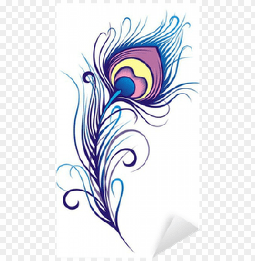 stylized peacock feather PNG image with transparent background | TOPpng